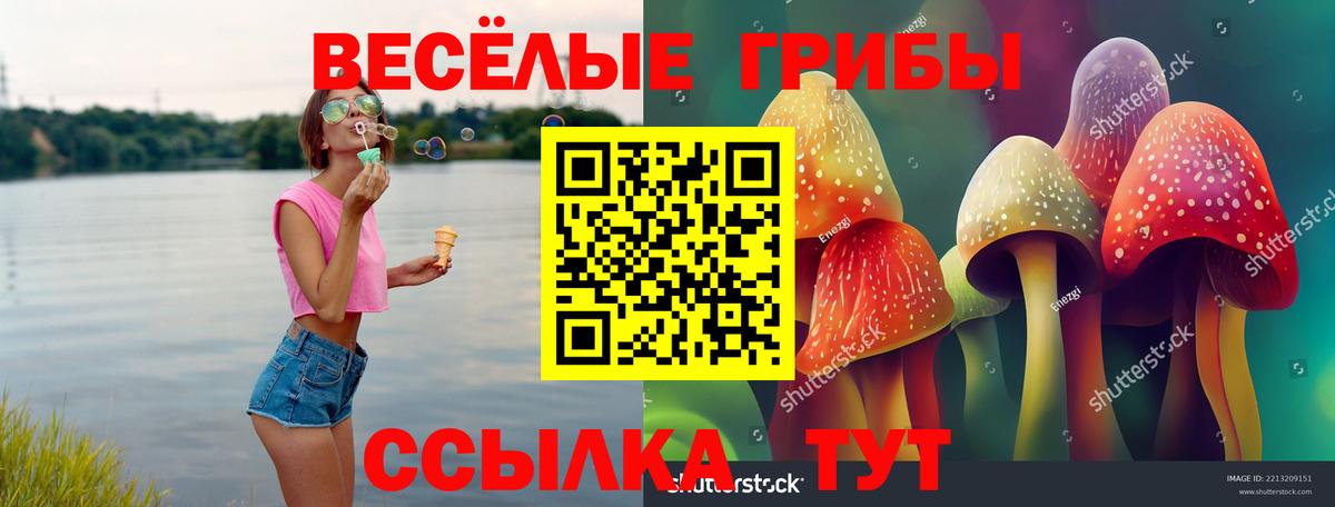 Галлюциногенные грибы мицелий Новоалександровск
