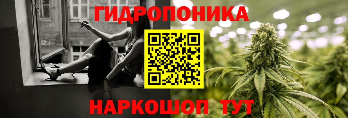 Каннабис OG Kush Новоалександровск